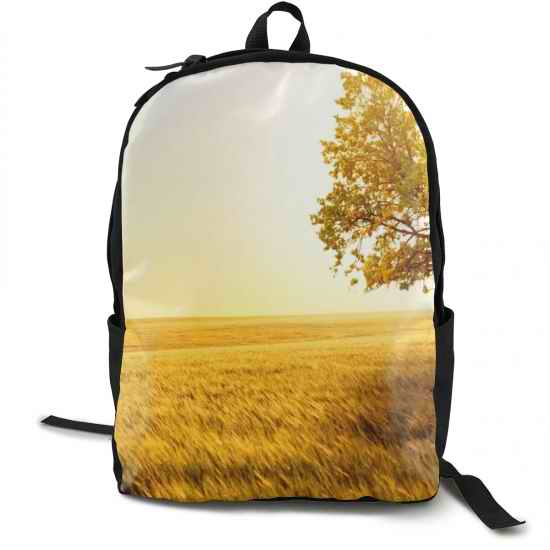 School Backpack 015